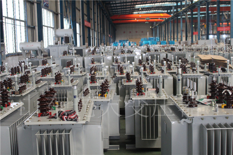 大庆S22-800KVA/10KV